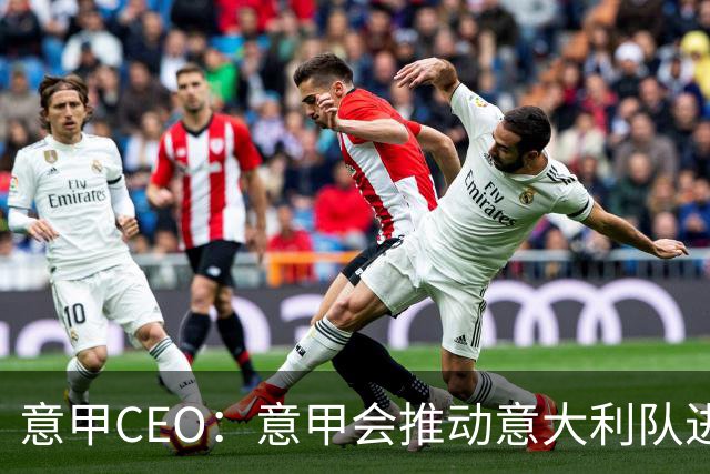 意甲CEO：意甲会推动意大利队进步 国家队低迷原因得追溯到20年前